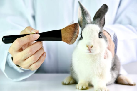 Cosmetics