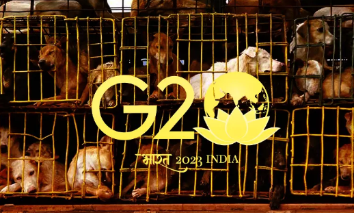 G20 Summit