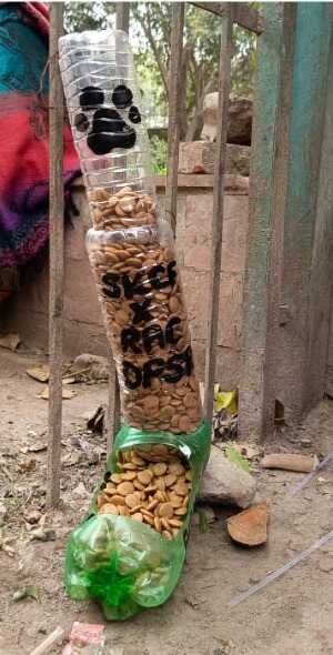 Dog Feeders Drive